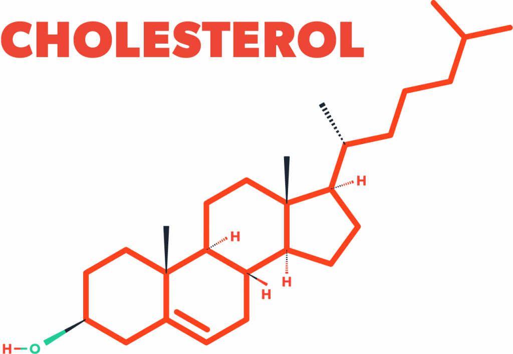Cholesterol-Molecuul-wat-is-cholesterol-1024x706